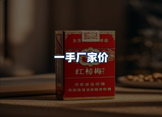 专业团队办公环境